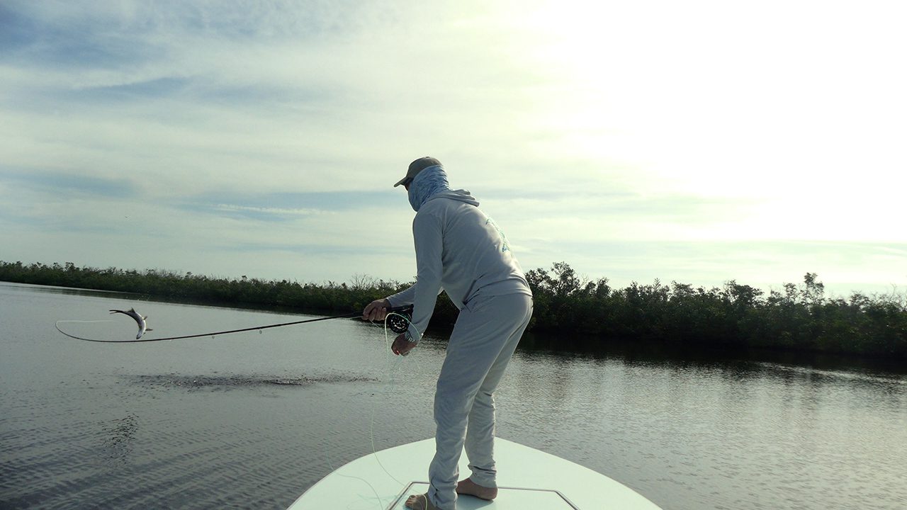 Tarpon fly fishing in Boca Grande Florida