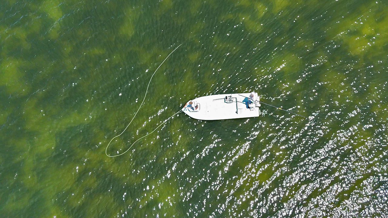 Boca Grande beach water conditions for tarpon fly fishing