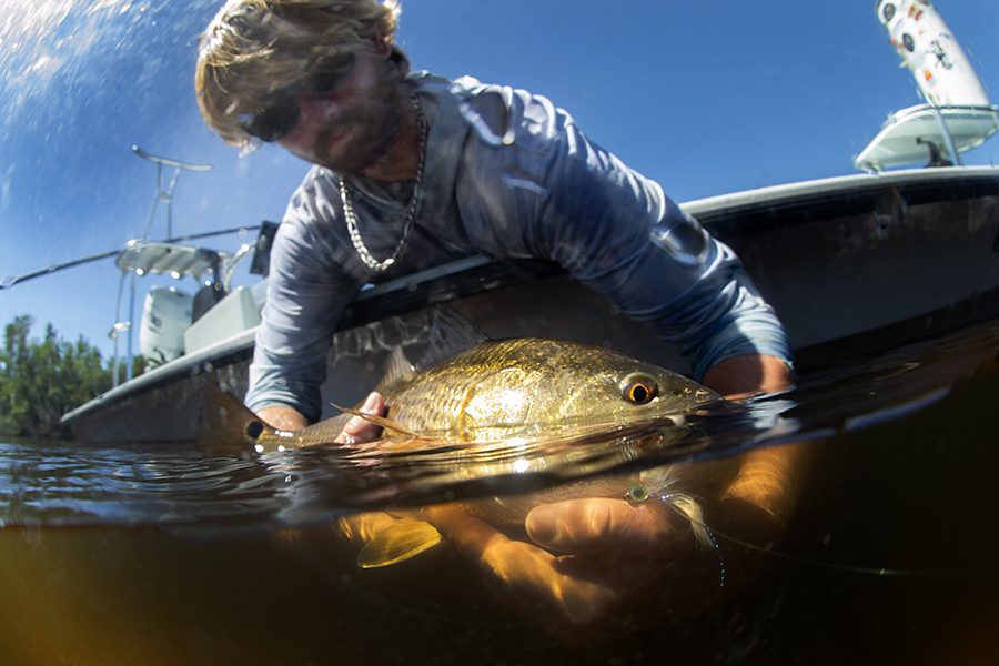 fly fishing redfish charlotte harbor