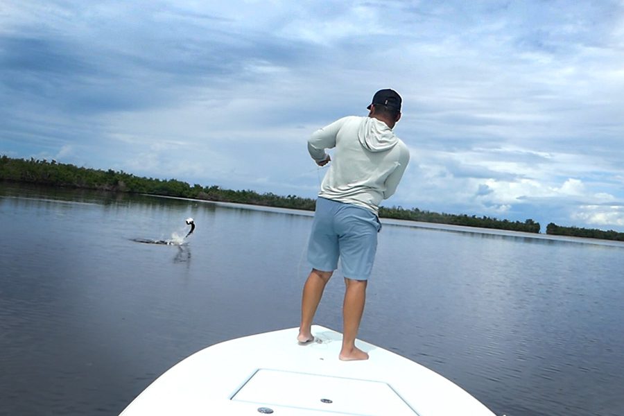 fly fishing tarpon charlotte harbor