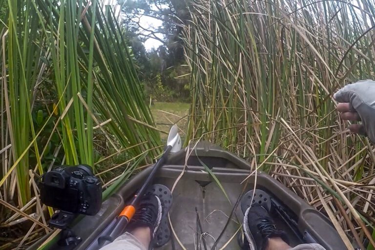 Fly Fishing Juvenile Tarpon In Charlotte Harbor