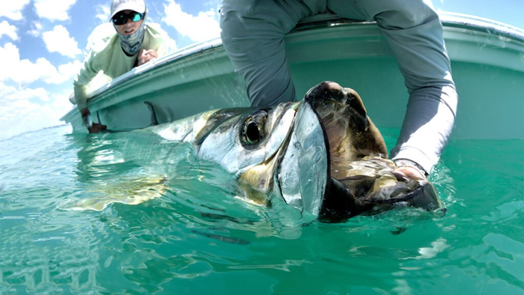 Charlotte Harbor Fly Fishing