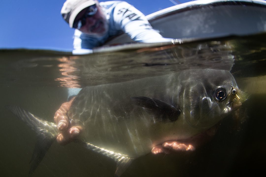 fly fishing permit charlotte harbor steve hall