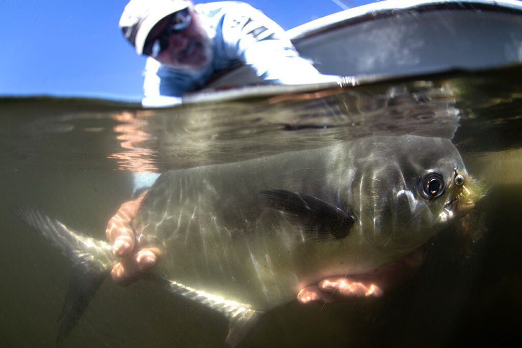 fly fishing snook charlotte harbor
