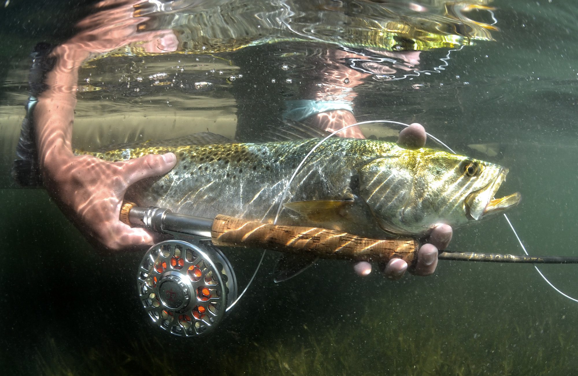 Fly fishing Gallery Charlotte Harbo